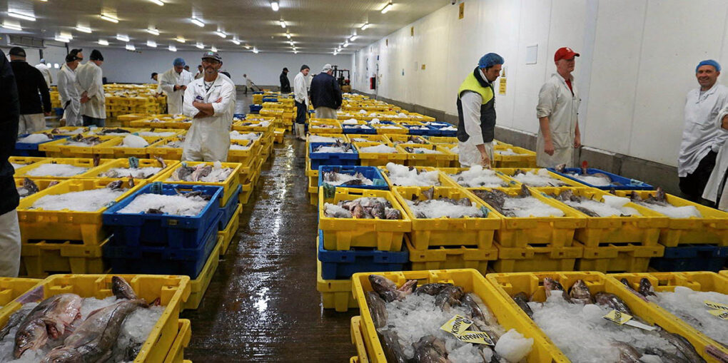 Grimsby Fish Market